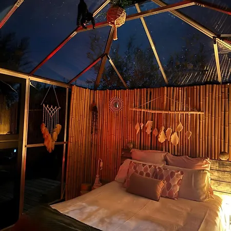 La Petite Maison De Noemie לינה וארוחת בוקר Gras