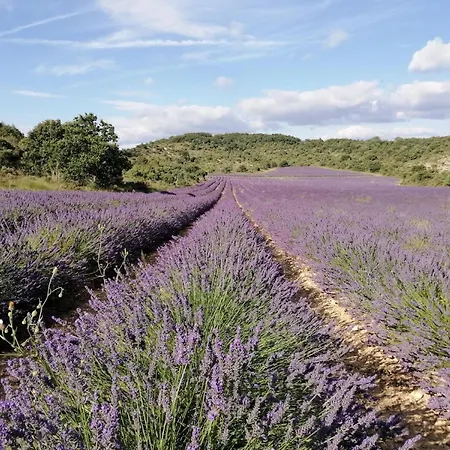 La Petite Maison De Noemie לינה וארוחת בוקר